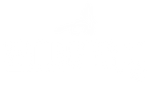 Ventures Fly Co