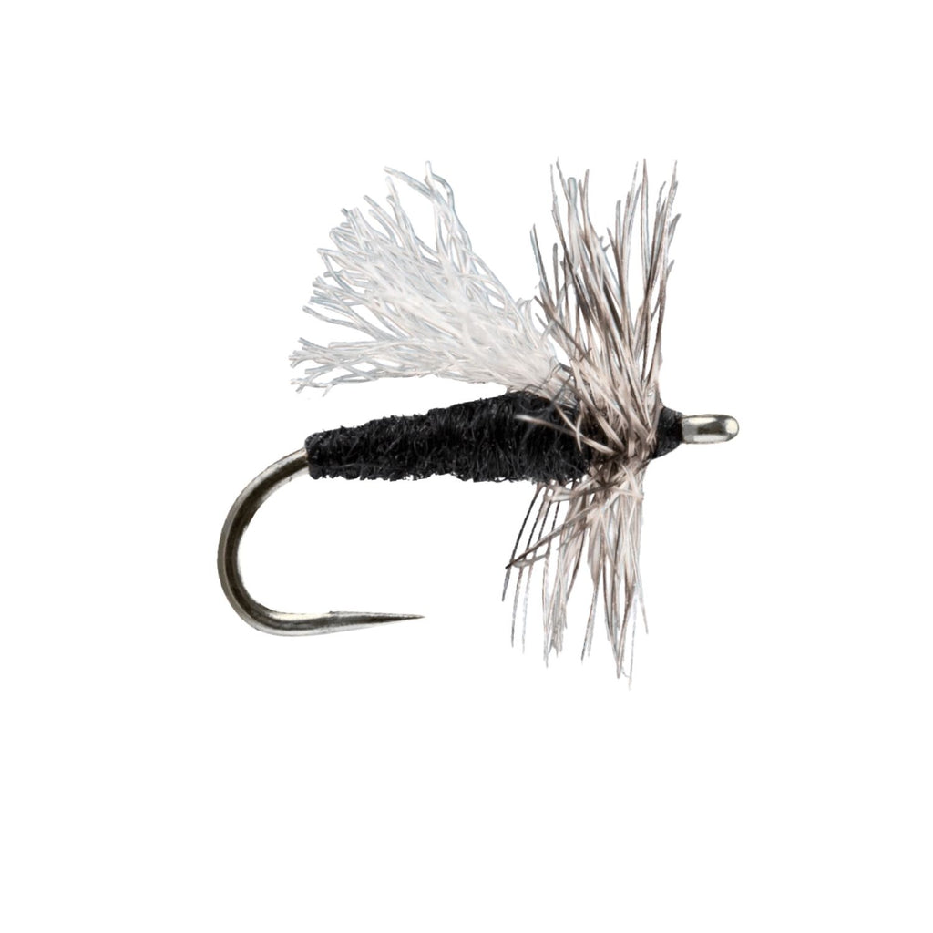 Matt_sMidge_1024x1024.jpg?v=