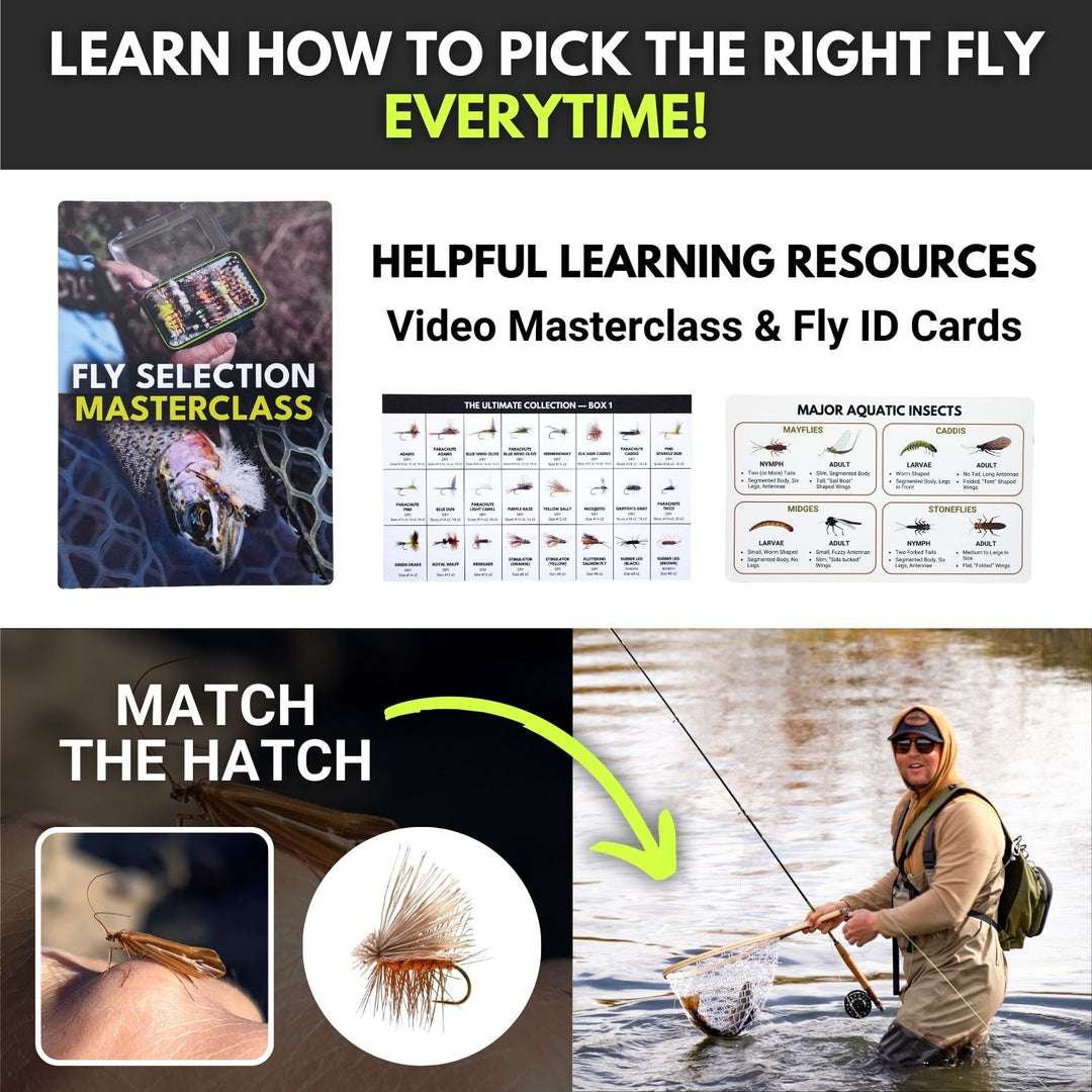 The Ultimate Collection | 200 Premium Fly Assortment – Ventures Fly Co
