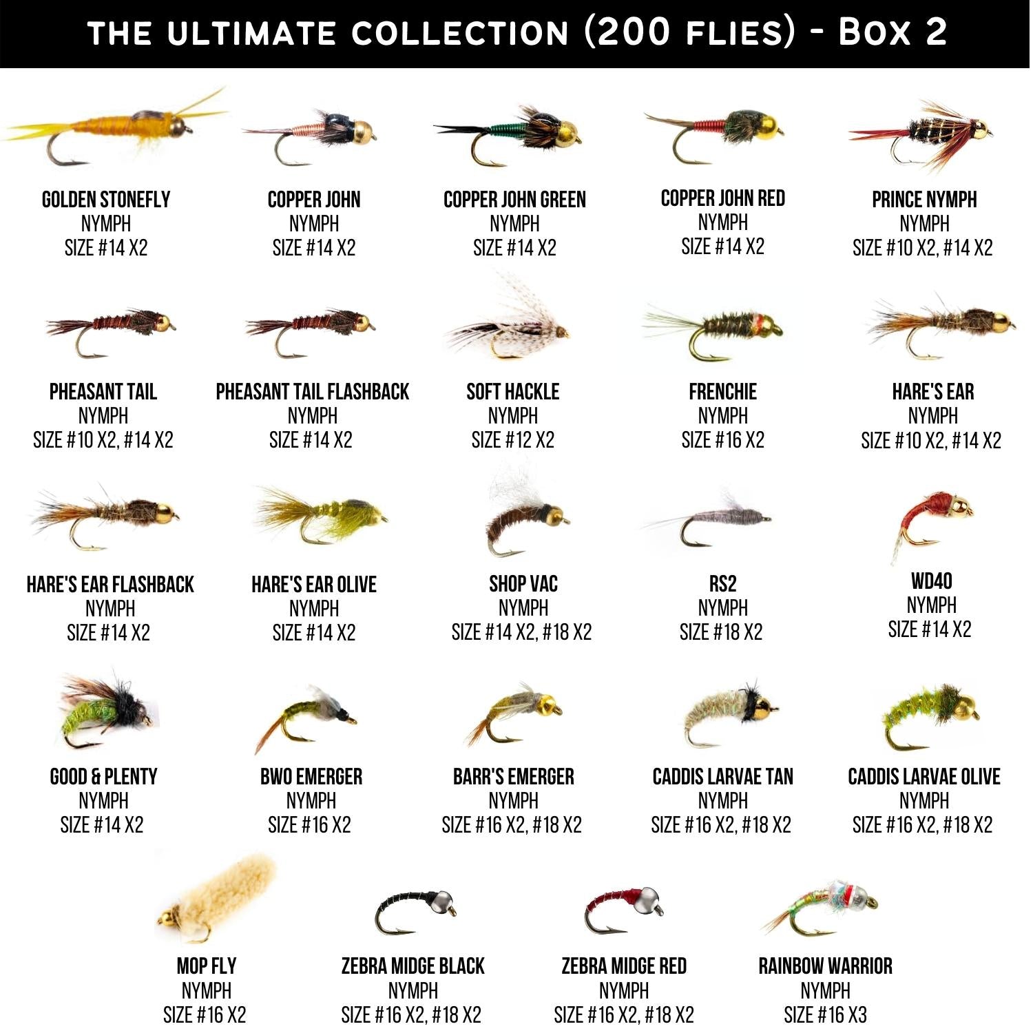 Ventures Fly Co. | 40 Premium Hand Tied Fly Fishing Flies Assortment | Fly  Box Included | Dry, Wet, Nymphs, Streamers, Wooly Buggers, Terrestrials 