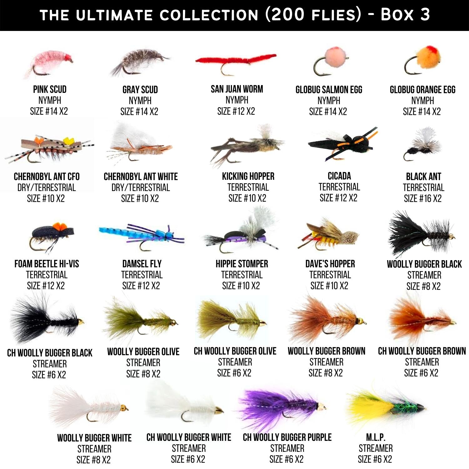 The Ultimate Collection | 200 Premium Fly Assortment